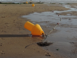2014.06.LS.Plage12.jpg