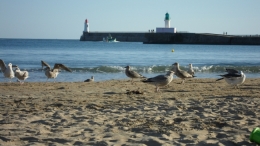 Sables d'Olonne, Sables de septembre, Mavra Nicolaïevna Novogrochneïeva, mouettes, plages, Olonne