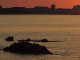 baie de cayola,paris-les sables d'olonne,arthur rimbaud,ethiopie,viol,danse,transe,charles baudelaire,baudelairien,île de la désolation,nécropole,nécropolis,insomniapolis,célibataire,cité,joug,buveur,zénith,lagune,lacune,magnanimité,ballade,charade,parade,minuit