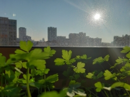 20190413_083824.jpg