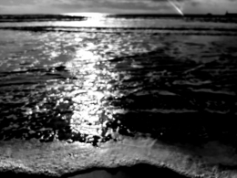 20201112_124714.jpg
