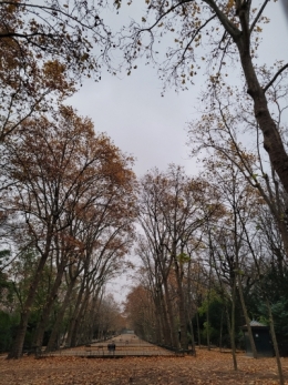 20221204_165527.jpg