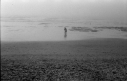 scala26_plage+_silhouettes2.jpg