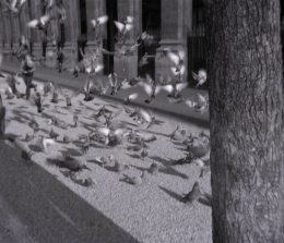 Jacques Benoist-Méchin