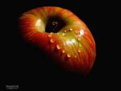 Love Apple by h18r