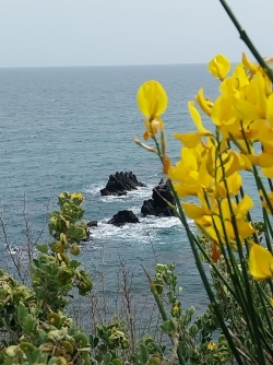 Photo : Hélène