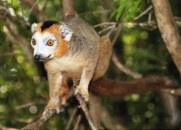 Madagascar_044-1.jpg
