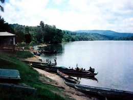 Guyane06.jpg
