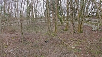 Citadelle-lunette-3châtels-200.jpg