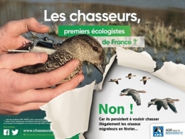 Chasseurs-écolos_03-450.jpg
