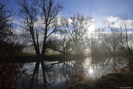 dominique delfino,photographe naturaliste et animalier,pays de montbéliard,plaine de l'allan,brognard