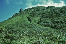 Guadeloupe_Soufrière1975_053-1.jpg