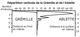 poissons lacustres,échantillonnage,lac de vouglans,retenue de vouglans,échantillonnage ichtyologique,comparaison d'échantillons,retenue de barrage