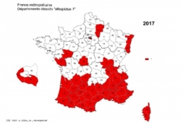 moustique-tigre,aedes albopictus,dengue,chikungunya,zika,hugo jalinière,sciences et avenir