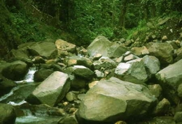 Guadeloupe_ Carbet_1977_051-1.jpg