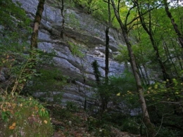 Falaise à faucon.jpg