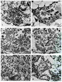 2_culture_adjuvants_pl_39.jpg