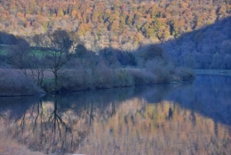 échantillonnage,filets verticaux,doubs,canal,poissons,pêche,habitats,nature