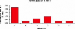 PER_N_3_93-1.jpg