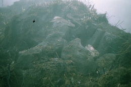Guadeloupe_Soufrière_Carmichaël_1977_066-1.jpg