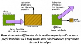 pédologie,franche-comté,forêt de chailluz