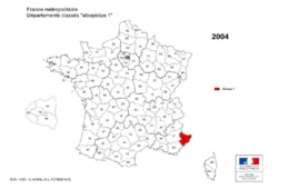 moustique-tigre,aedes albopictus,dengue,chikungunya,zika,hugo jalinière,sciences et avenir