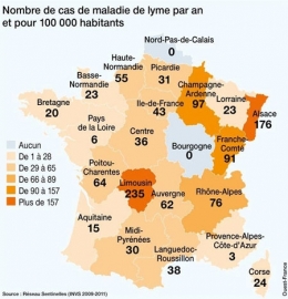 tique,ixode,maladie de lyme,parasitologie,ectoparasites,vecteurs de maladie,acariens,arachnides,arthropodes
