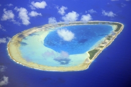 coraux,antilles,cnidaires,anthozoaires,scléractiniaires,madrépores,récif corallien,caraïbe