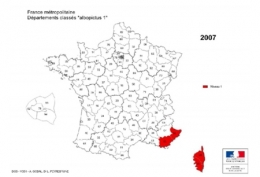 moustique-tigre,aedes albopictus,dengue,chikungunya,zika,hugo jalinière,sciences et avenir