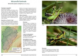 Orthoptères-p106-450.jpg