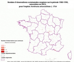 ambroisie,ambroisie en franche-comté