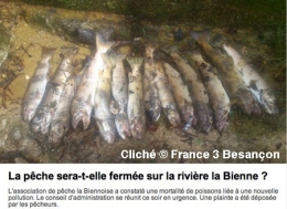franche-comté,rivières,état des rivières,lacs,état des lacs