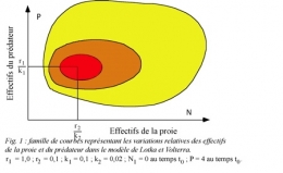 prédation-loup-fig1-1.jpg