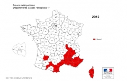 moustique-tigre,aedes albopictus,dengue,chikungunya,zika,hugo jalinière,sciences et avenir