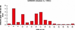 GAR__N_3_92-1.jpg