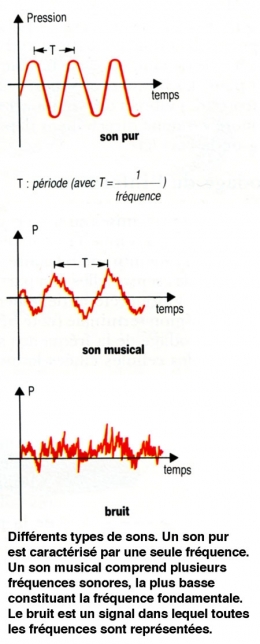 audition,oreille,surdité,institut pasteur