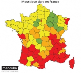 aedes albopictus,moustique tigre,dengue,chikungunya