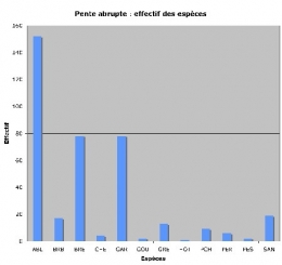 Pente abrupte-effectif_d+m1.jpg