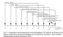 Poissons_groupements_socioecologiques-450.jpg