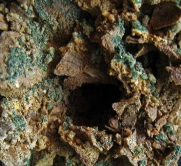 Death_valley_malachite_dans_grès1.jpg