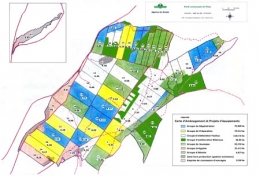 Forêt-de-Thise_Carte-des-parcelles-450.jpg