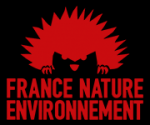 Logo FNE.png