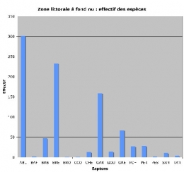 LFNM-effectif_d+m1.jpg