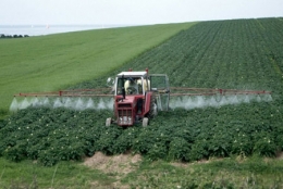 pollution,pesticides,agriculture,cancer,cancer du sang,maladie de parkinson,cancer de la prostate,lymphomes,myélomes multiples,santé humaine,agriculture intensive