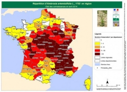 ambroisie,ambroisie en franche-comté