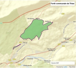 Fig.-01-Forêt-communale-de-Thise-450.jpg