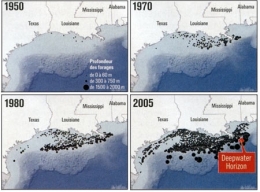 marée noire,dispersants,deepwater horizon,coredit 9500,golfe du mexique,bp,british petroleum,plateforme pétrolière,pétrole offshore,floride,louisiane,bayous,oiseaux marins