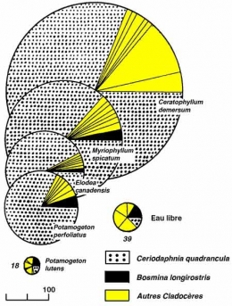 Figure-12-450.jpg