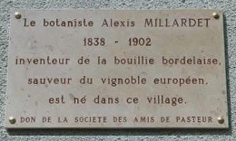 Millardet-plaque.jpg