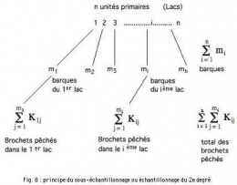 Fig 8-1.jpg